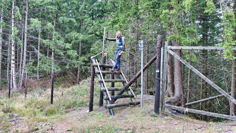 Hiking Route 2. Etappe Styrian Iron Trail - Ulrichskirche / Seiz - Mautern - Touren-Impression #2.20 | © Weges OG