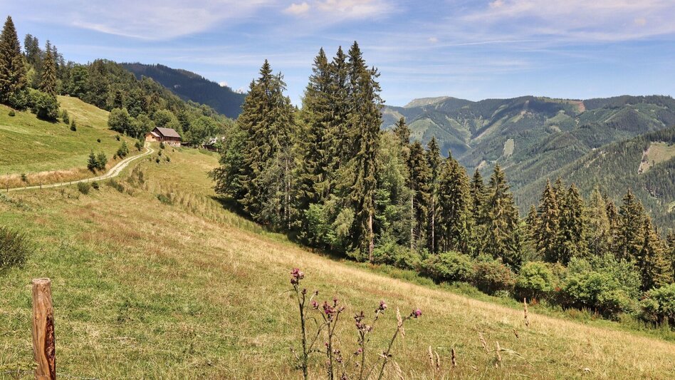 Hiking Route  3. Etappe Styrian Iron Trail - Mautern - Wald am Schoberpaß - Touren-Impression #2.11 | © Weges OG