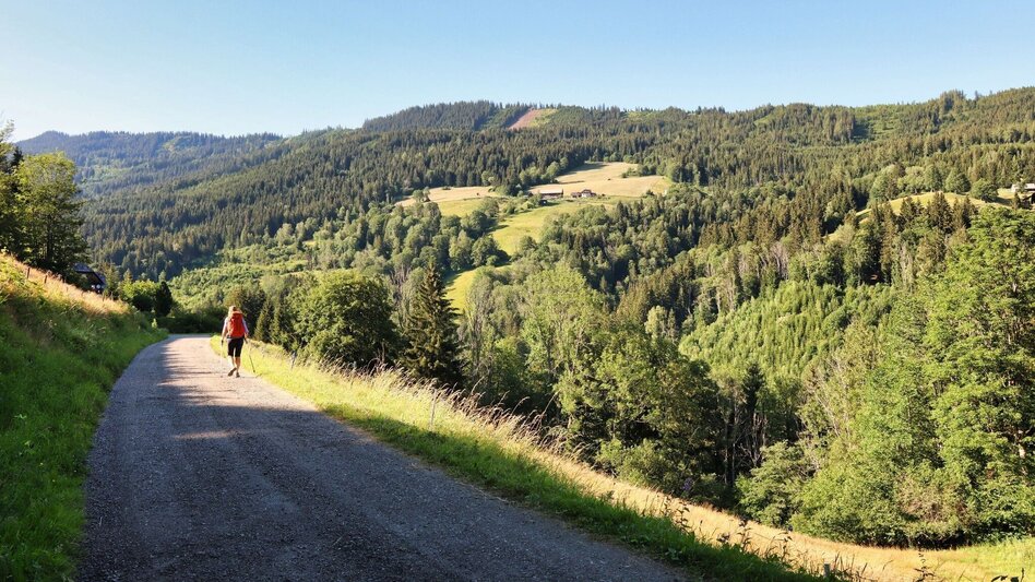 Hiking Route  3. Etappe Styrian Iron Trail - Mautern - Wald am Schoberpaß - Touren-Impression #2.18 | © Weges OG