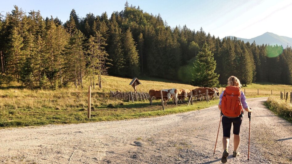 Hiking Route  3. Etappe Styrian Iron Trail - Mautern - Wald am Schoberpaß - Touren-Impression #2.22 | © Weges OG