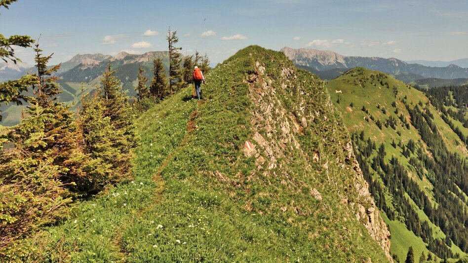 Hiking Route  4. Etappe Styrian Iron Trail - Wald am Schoberpaß - Radmer an der Stube - Touren-Impression #2.13 | © Weges OG