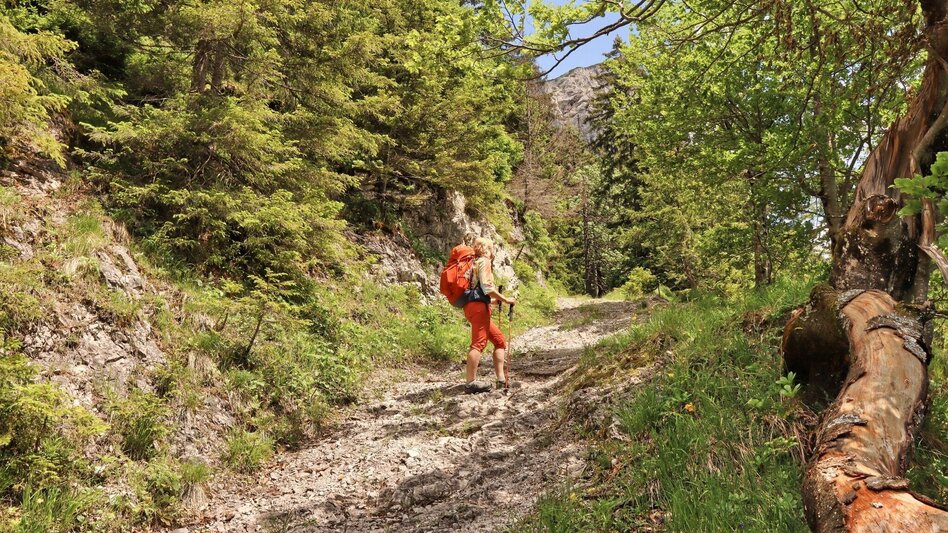 Hiking Route 6. Etappe Styrian Iron Trail - Eisenerz - Sonnschienalm - Touren-Impression #2.6 | © Weges OG
