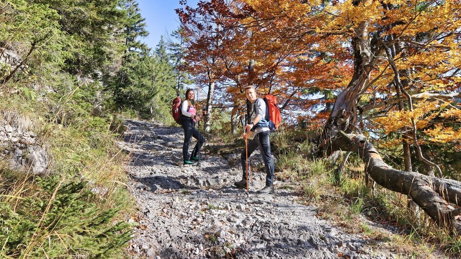 Hiking Route 6. Etappe Styrian Iron Trail - Eisenerz - Sonnschienalm - Touren-Impression #2.7 | © Weges OG