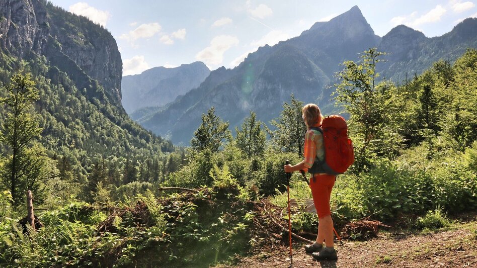 Hiking Route 6. Etappe Styrian Iron Trail - Eisenerz - Sonnschienalm - Touren-Impression #2.9 | © Weges OG