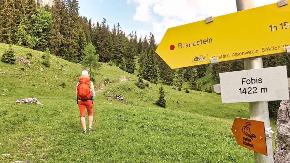 Hiking Route 6. Etappe Styrian Iron Trail - Eisenerz - Sonnschienalm - Touren-Impression #2.10 | © Weges OG