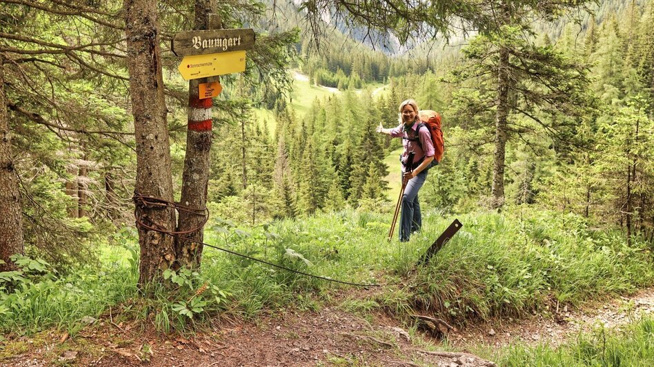 Wanderung  7. Etappe Styrian Iron Trail - Sonnschienalm - Vordernberg - Touren-Impression #2.4 | © Weges OG