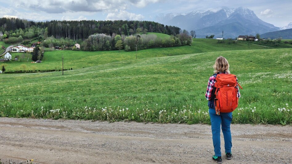 Hiking Route  8. Etappe Styrian Iron Trail -  Vordernberg - St. Peter-Freienstein - Touren-Impression #2.17 | © Weges OG