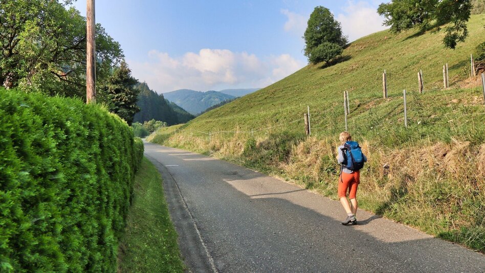 Hiking Route Hohe Ranach by Rothenthurm - Touren-Impression #2.2 | © Weges OG