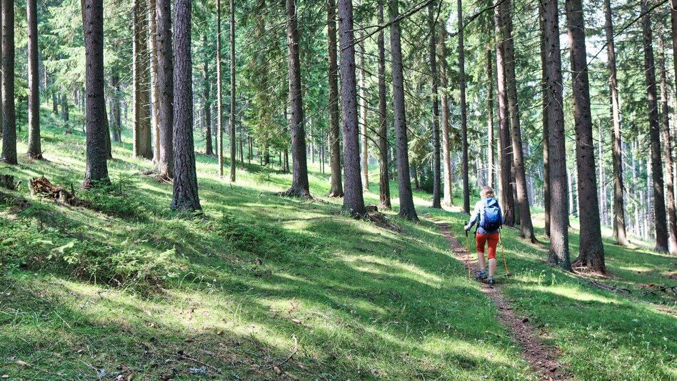 Hiking Route Hohe Ranach by Rothenthurm - Touren-Impression #2.5 | © Weges OG