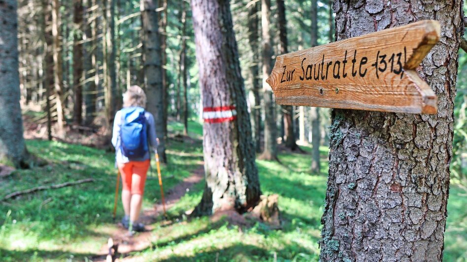 Hiking Route Hohe Ranach by Rothenthurm - Touren-Impression #2.6 | © Weges OG