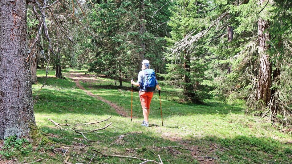 Hiking Route Hohe Ranach by Rothenthurm - Touren-Impression #2.7 | © Weges OG