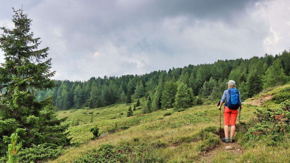 Hiking Route Hohe Ranach by Rothenthurm - Touren-Impression #2.8 | © Weges OG