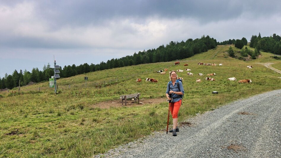 Hiking Route Hohe Ranach by Rothenthurm - Touren-Impression #2.9 | © Weges OG