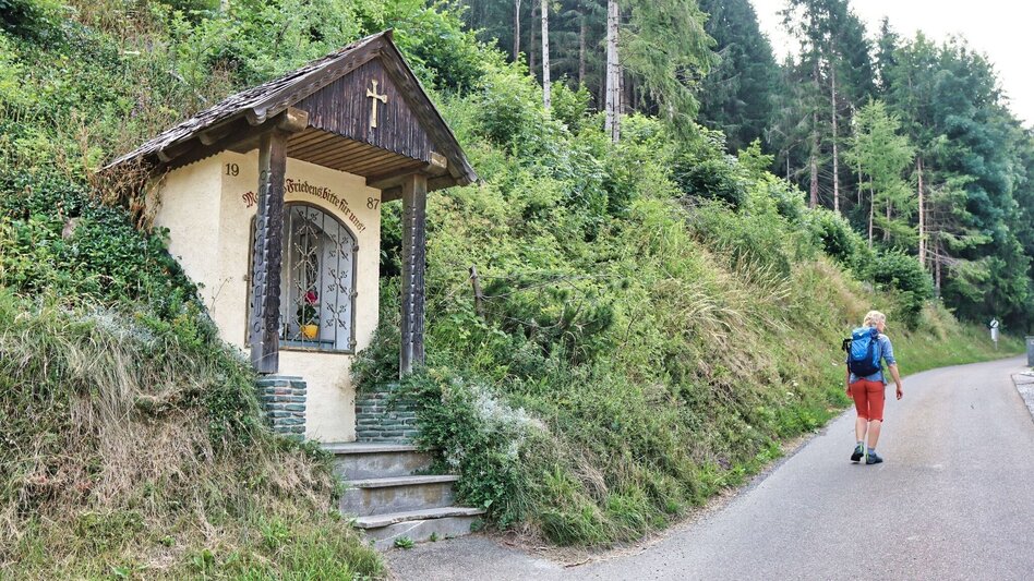 Wanderung Hölzlkogel von Rothenthurm - Touren-Impression #2.1 | © Weges OG
