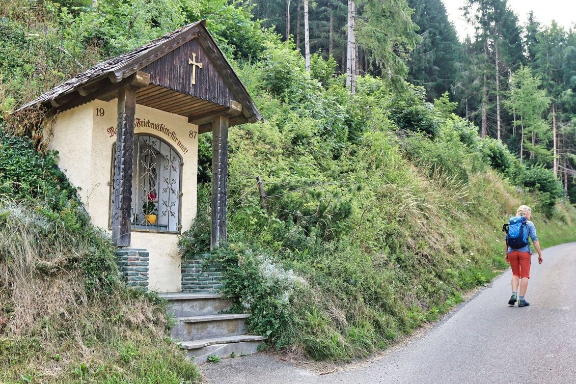 Wanderung Hölzlkogel von Rothenthurm - Touren-Impression #1 | © Weges OG