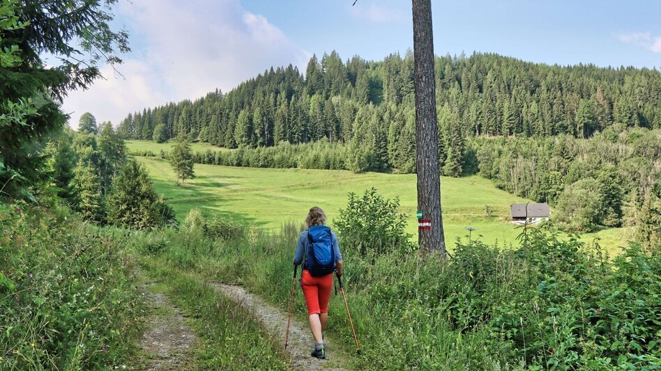 Wanderung Hölzlkogel von Rothenthurm - Touren-Impression #2.5 | © Weges OG