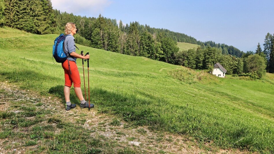 Wanderung Hölzlkogel von Rothenthurm - Touren-Impression #2.6 | © Weges OG