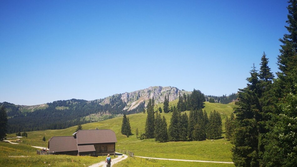 Wanderung Mit dem Bus zum Berg - Hinteralmüberschreitung - Touren-Impression #2.1 | © TV Hochsteiermark