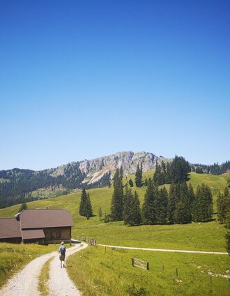 Auf der Bodenalm | Andreas Steininger | © TV Hochsteiermark