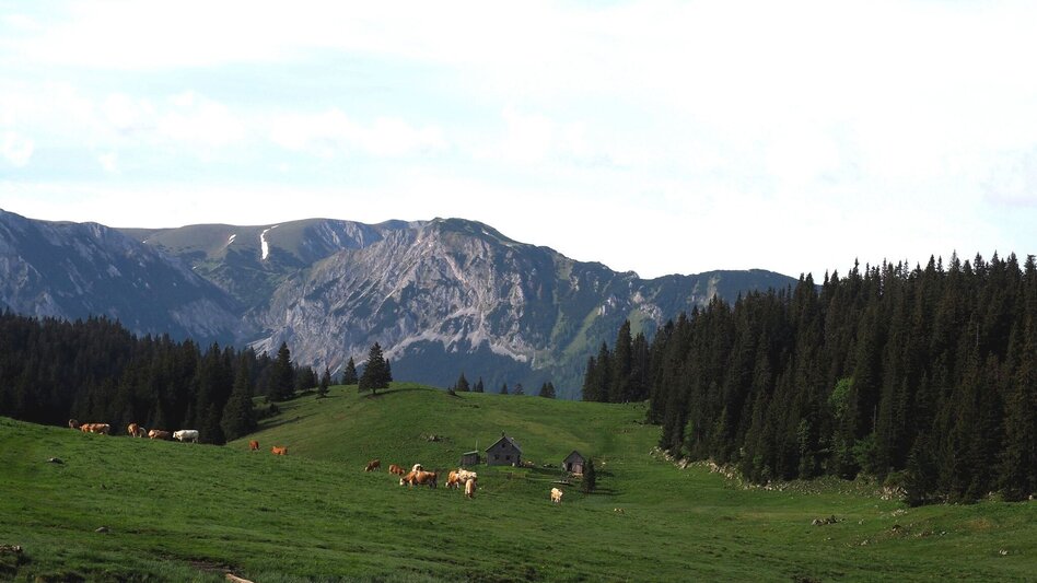 Wanderung Mit dem Bus zum Berg - Überschreitung der Hohen Veitsch - Touren-Impression #2.4 | © TV Hochsteiermark