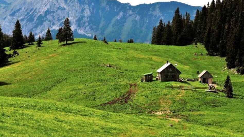 Wanderung Mit dem Bus zum Berg - Tonionüberschreitung - Touren-Impression #2.1 | © Naturpark Mürzer Oberland