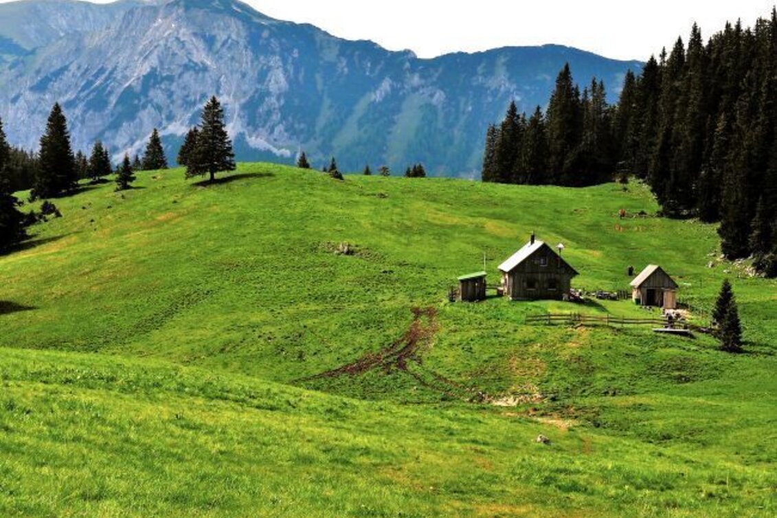 Wanderung Mit dem Bus zum Berg - Tonionüberschreitung - Touren-Impression #1 | © Naturpark Mürzer Oberland