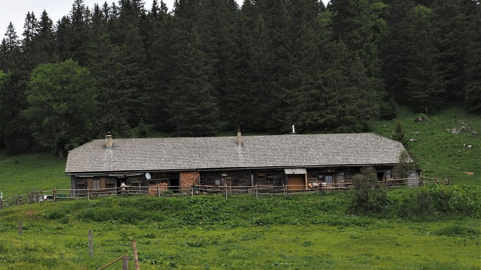 Wanderung Mit dem Bus zum Berg - Tonionüberschreitung - Touren-Impression #2.4 | © TV Hochsteiermark