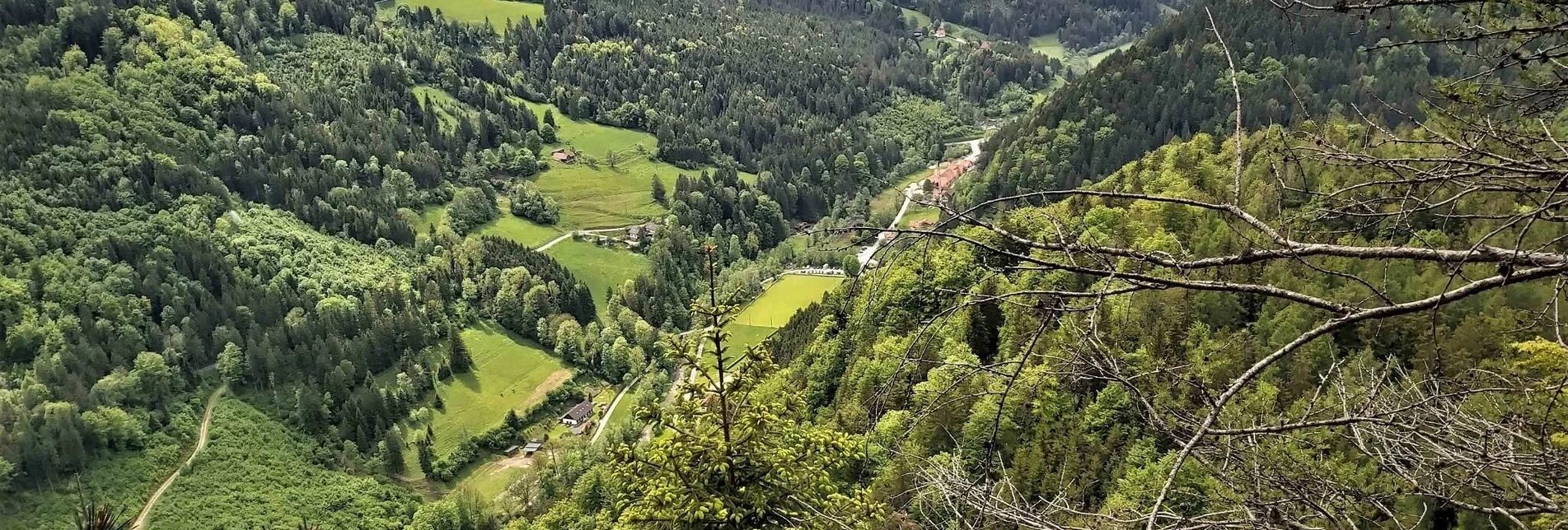 Ausblick vom Gösser über Arzberg | © Naturpark Almenland