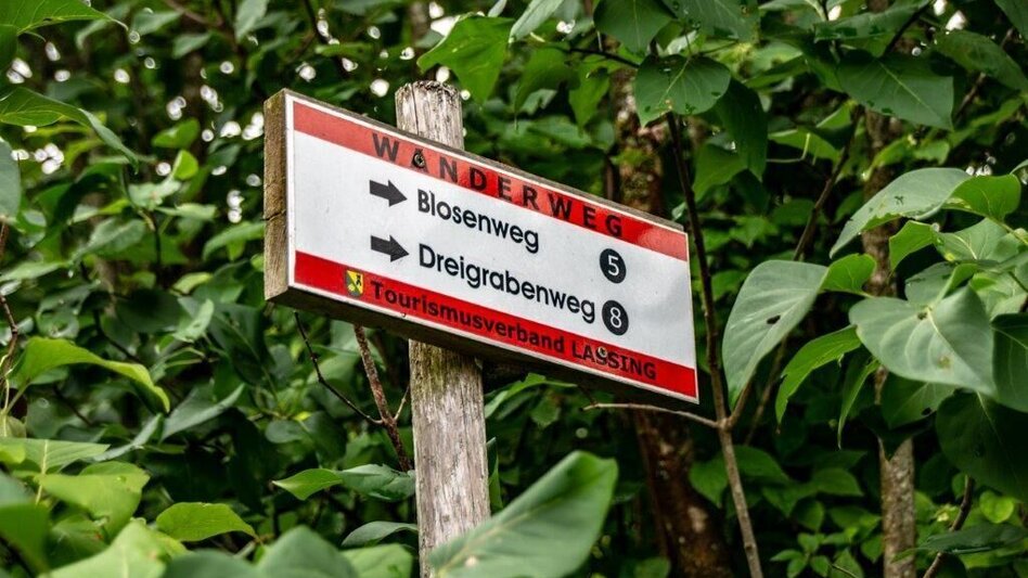 Hiking Route Blosen / Lassing - Touren-Impression #2.5 | © TV Gesäuse