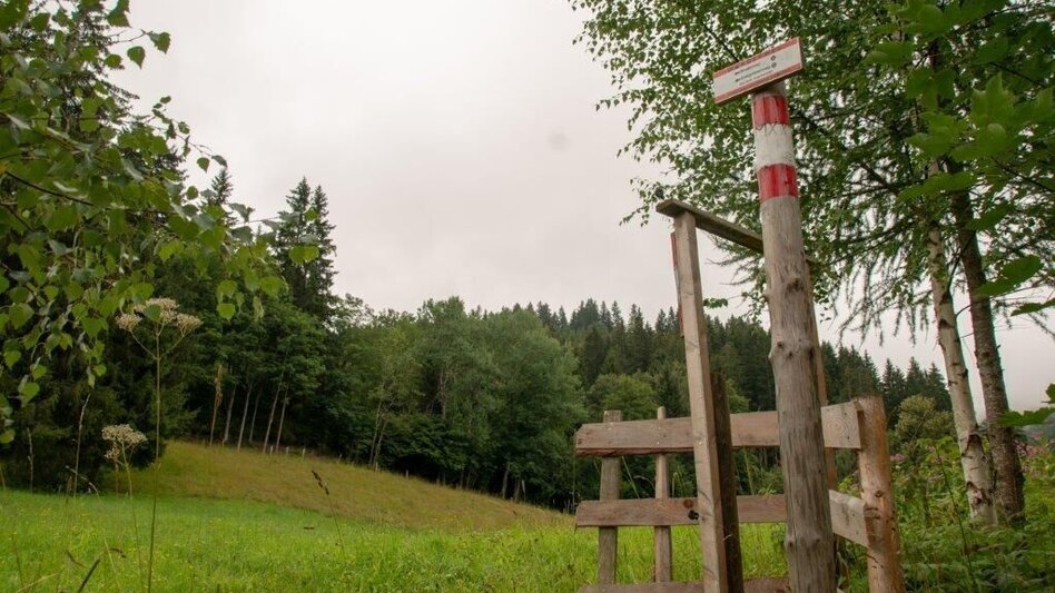 Hiking Route Blosen / Lassing - Touren-Impression #2.6 | © TV Gesäuse