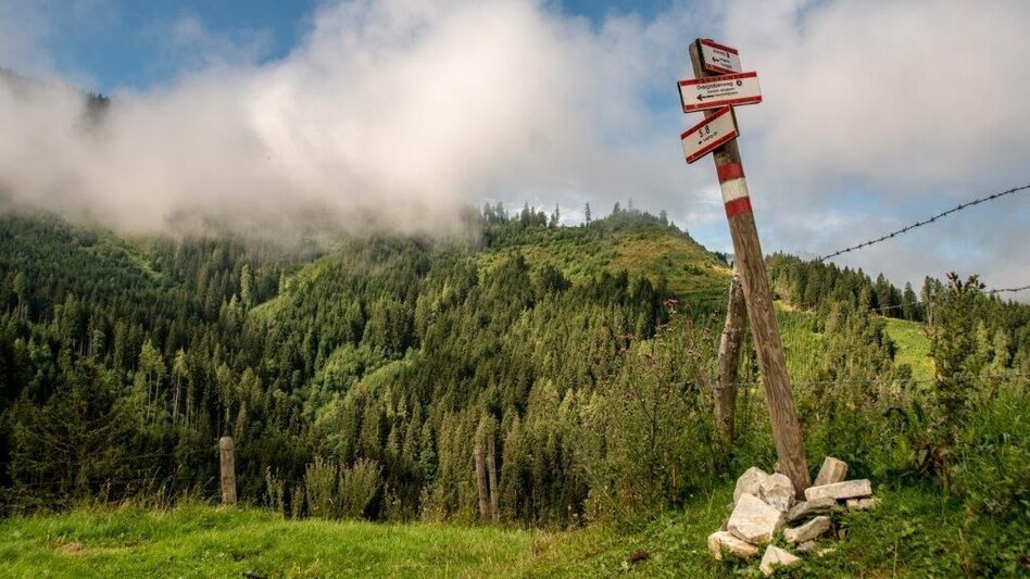 Hiking Route Blosen / Lassing - Touren-Impression #2.8 | © TV Gesäuse