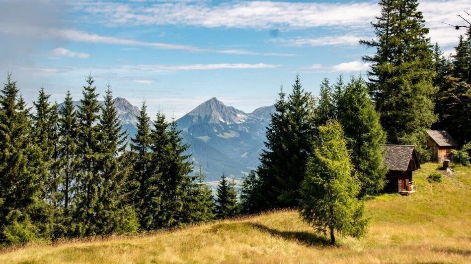 Hiking Route Blosen / Lassing - Touren-Impression #2.13 | © TV Gesäuse