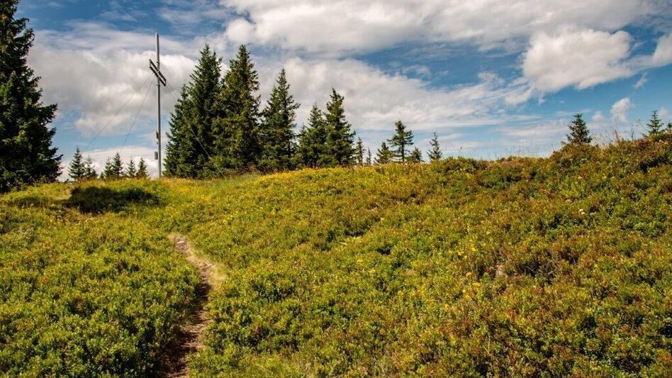 Hiking Route Blosen / Lassing - Touren-Impression #2.14 | © TV Gesäuse