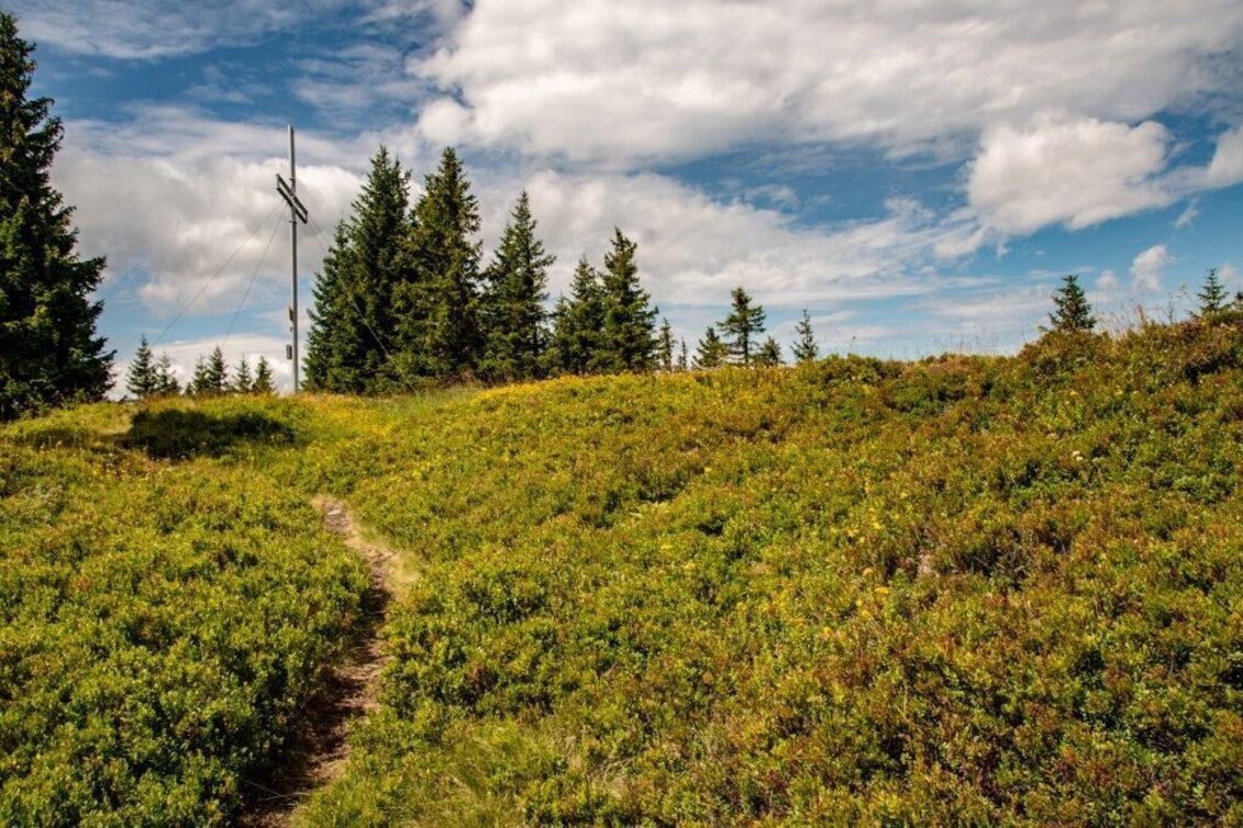 Hiking Route Blosen-Stribing Round - Touren-Impression #1 | © TV Gesäuse