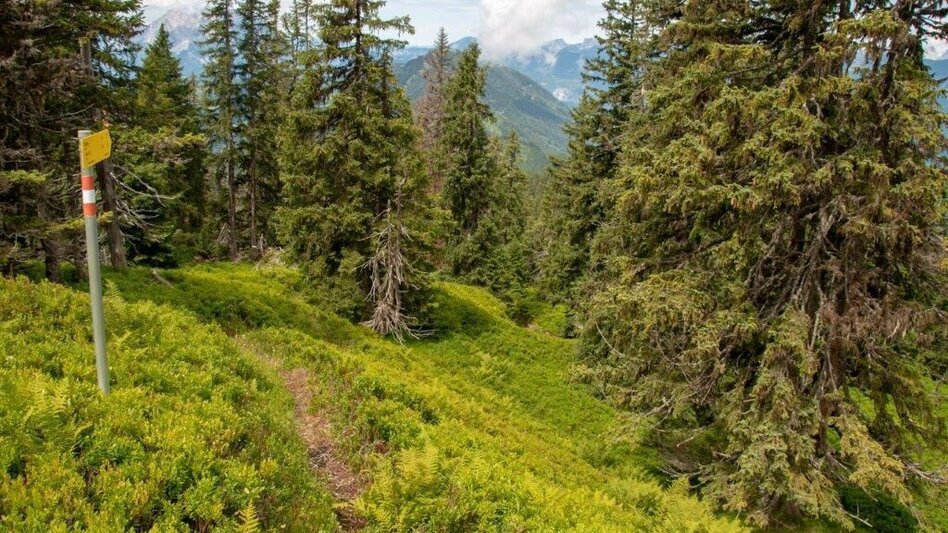 Hiking Route Blosen-Stribing Round - Touren-Impression #2.12 | © TV Gesäuse