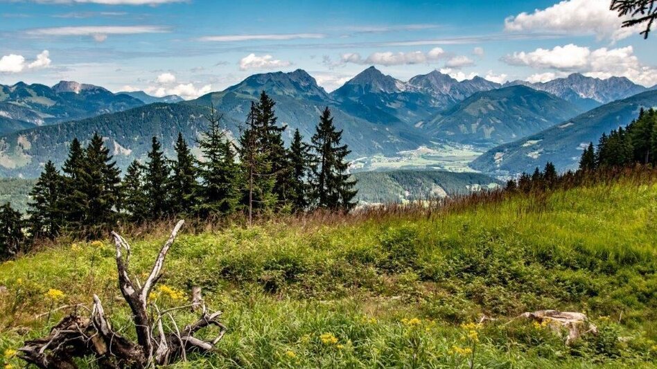 Hiking Route Blosen-Stribing Round - Touren-Impression #2.13 | © TV Gesäuse