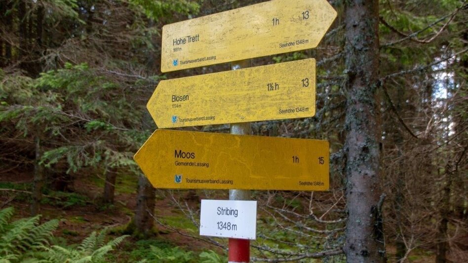 Hiking Route Blosen-Stribing Round - Touren-Impression #2.14 | © TV Gesäuse