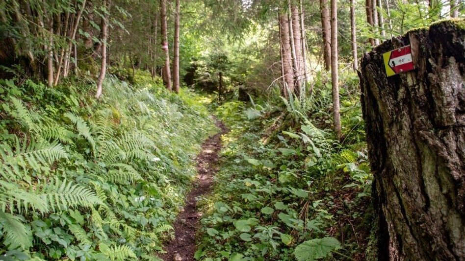 Hiking Route Blosen-Stribing Round - Touren-Impression #2.15 | © TV Gesäuse