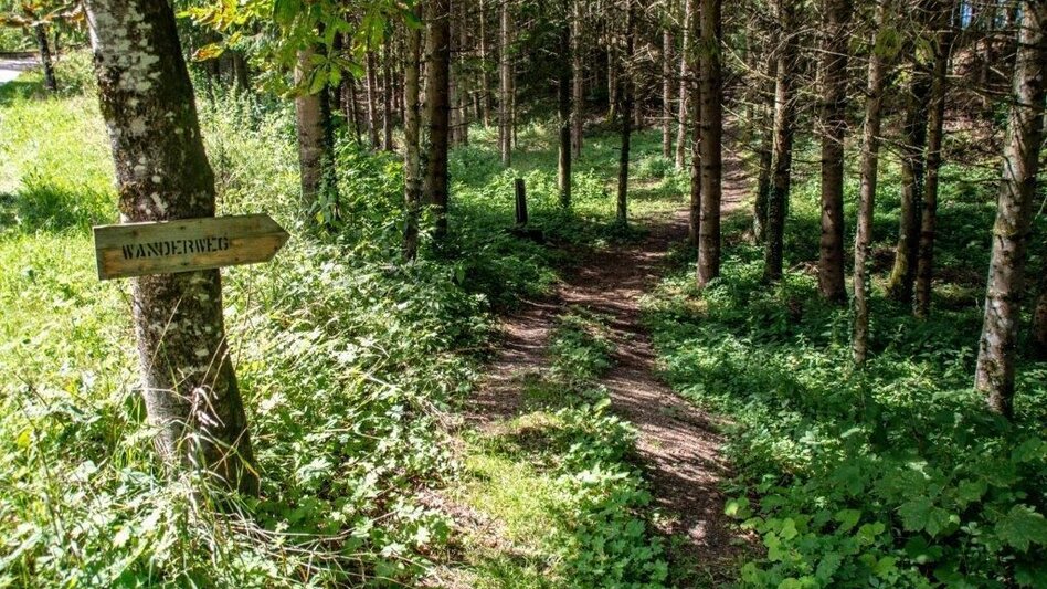 Hiking Route Strechau Castle circular walk Nr. 11+12 - Touren-Impression #2.6 | © TV Gesäuse