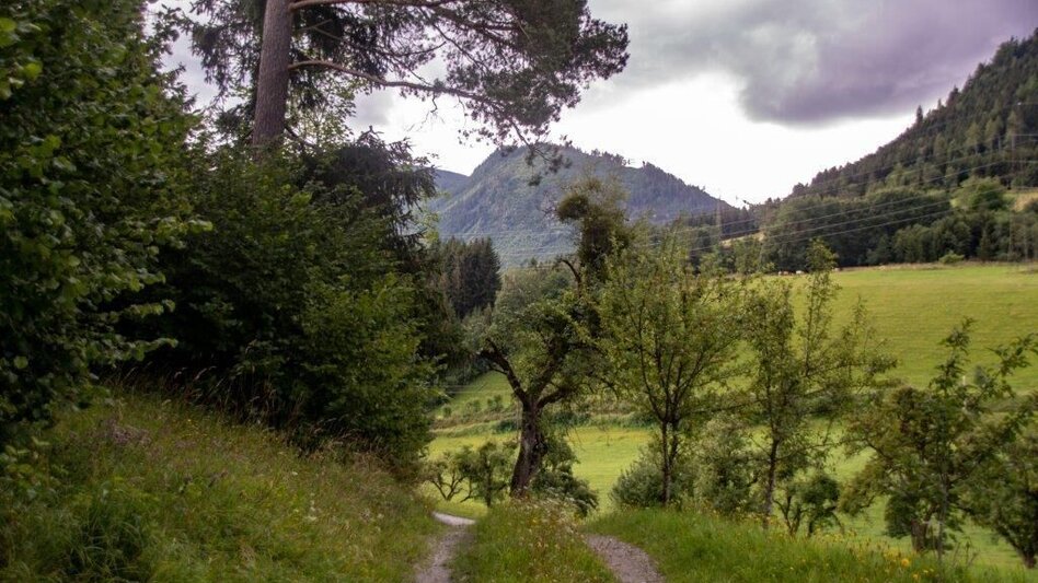Hiking Route Strechau Castle circular walk Nr. 11+12 - Touren-Impression #2.14 | © TV Gesäuse