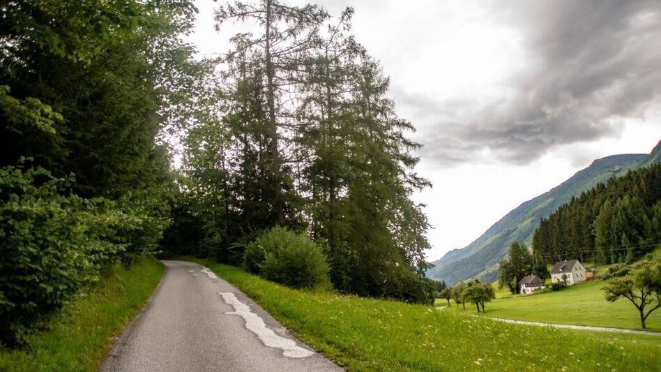 Hiking Route Strechau Castle circular walk Nr. 11+12 - Touren-Impression #2.15 | © TV Gesäuse