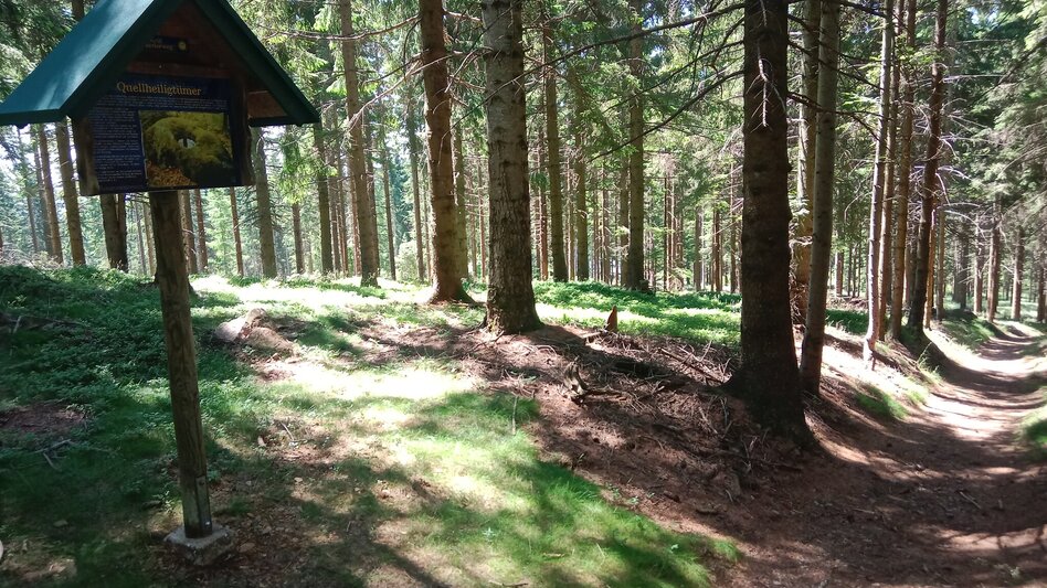 Hiking Route Mondweg cult hiking trail, Miesenbach - Touren-Impression #2.4 | © Oststeiermark Tourismus