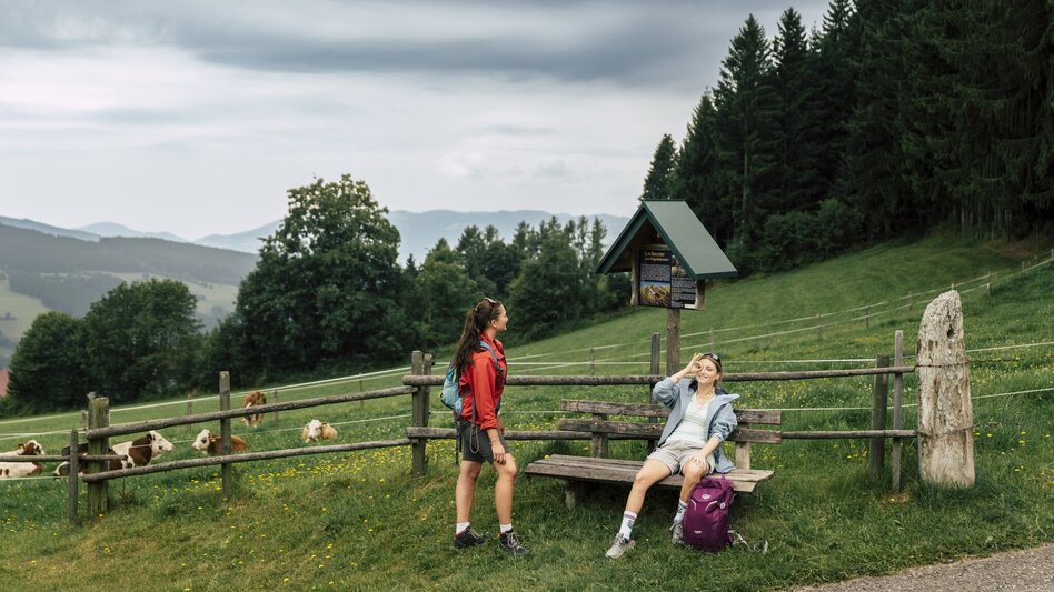 Hiking Route Mondweg cult hiking trail, Miesenbach - Touren-Impression #2.7 | © Oststeiermark Tourismus