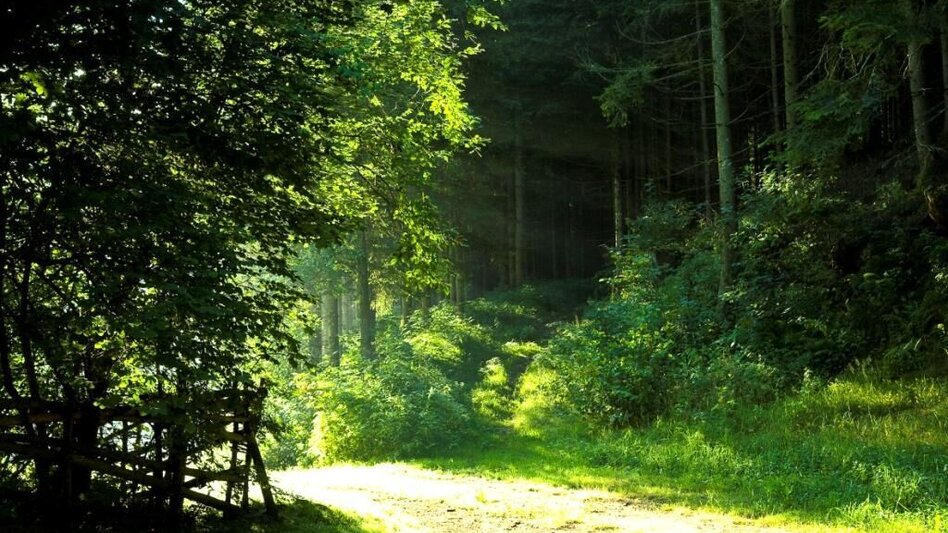 Hiking Route Augustine Way, Vorau - Touren-Impression #2.2 | © Verein Vorauer Wirtschaft