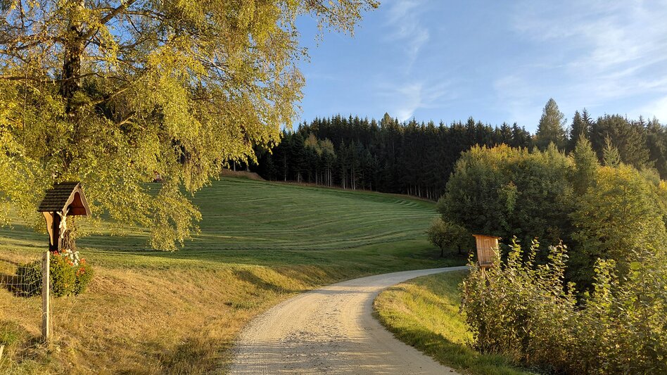 Wanderung Augustiniweg, Vorau - Touren-Impression #2.6 | © VVW Tourismusinfo Vorau