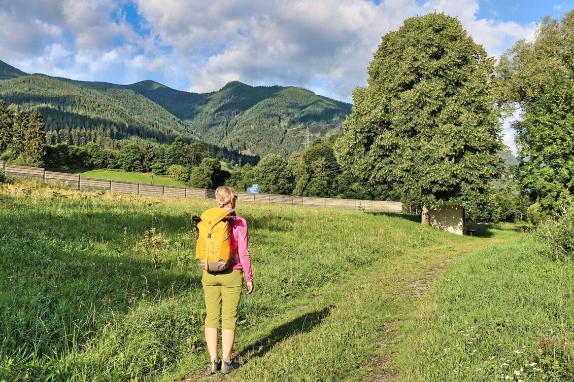 Hiking Route From Mautern to the Bremstein - Touren-Impression #1 | © Weges OG
