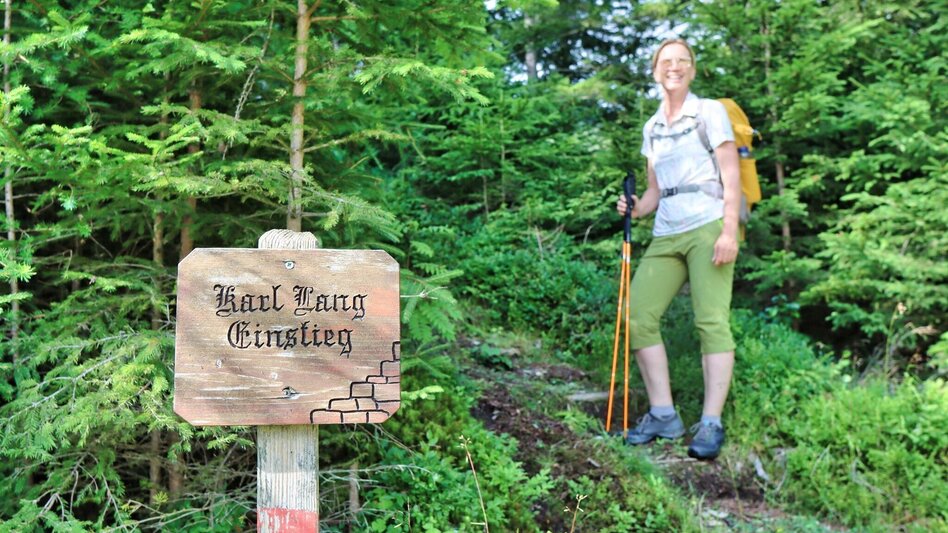 Hiking Route From Mautern to the Bremstein - Touren-Impression #2.5 | © Weges OG
