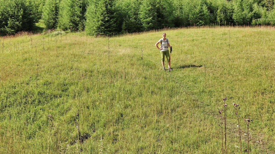 Hiking Route From Mautern to the Bremstein - Touren-Impression #2.8 | © Weges OG