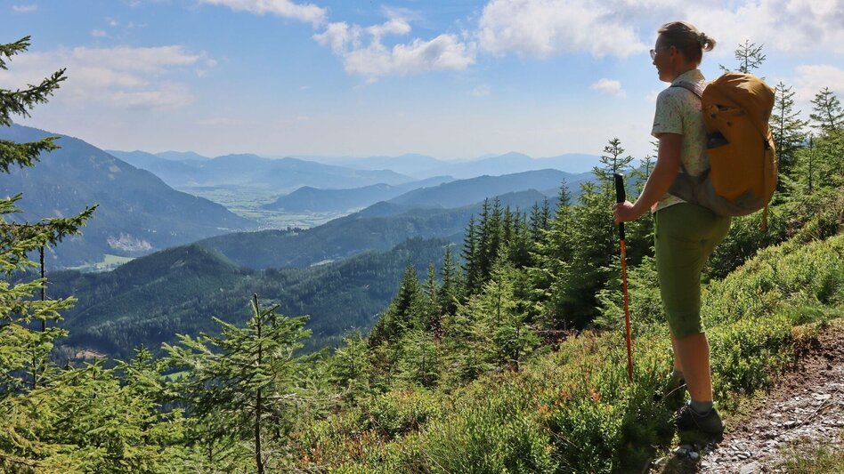 Hiking Route From Mautern to the Bremstein - Touren-Impression #2.9 | © Weges OG