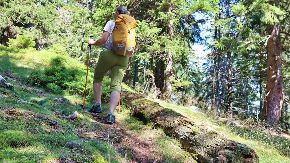 Hiking Route From Mautern to the Bremstein - Touren-Impression #2.11 | © Weges OG